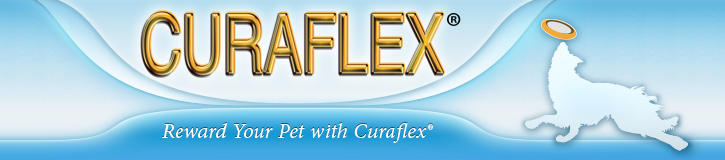 Curaflex a line of affordable joint health supplements for dogs.